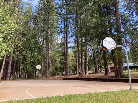 25200 Esther Ave, Long Barn, CA 95335 photo 49