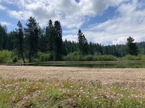 25200 Esther Ave, Long Barn, CA 95335 photo 43