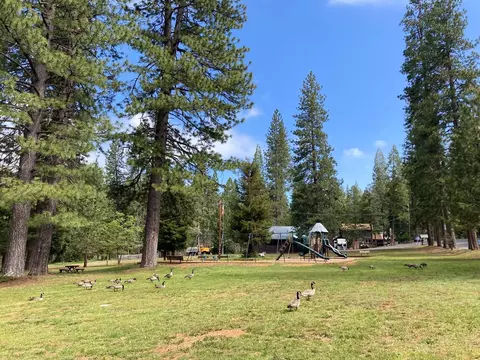 25200 Esther Ave, Long Barn, CA 95335 photo 55