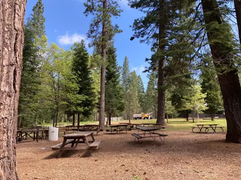 25200 Esther Ave, Long Barn, CA 95335 photo 45