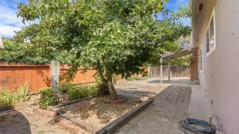 1115 Devine Dr, Lodi, CA 95240 photo 48