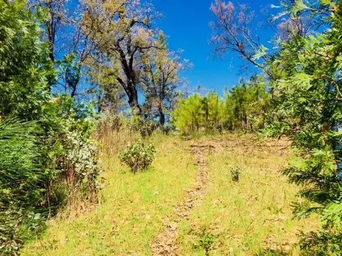 5340 String Canyon Rd, Somerset, CA 95684 photo 6