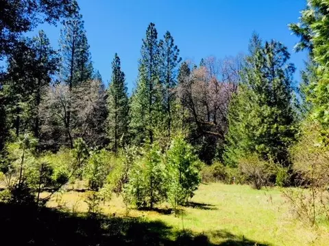 5340 String Canyon Rd, Somerset, CA 95684 photo 11