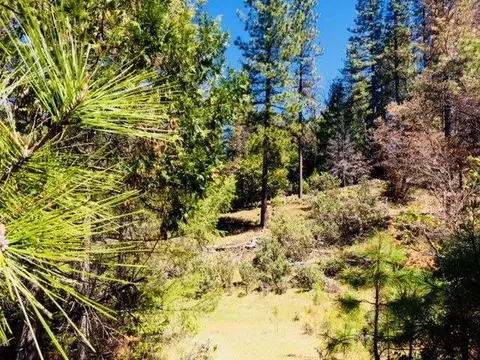 5340 String Canyon Rd, Somerset, CA 95684 photo 9