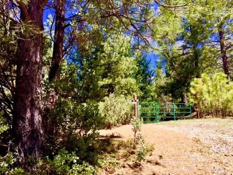 5340 String Canyon Rd, Somerset, CA 95684 photo 3