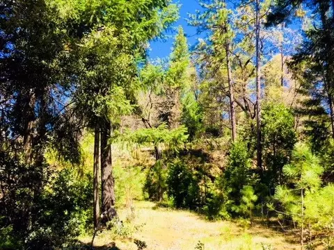 5340 String Canyon Rd, Somerset, CA 95684 photo 4