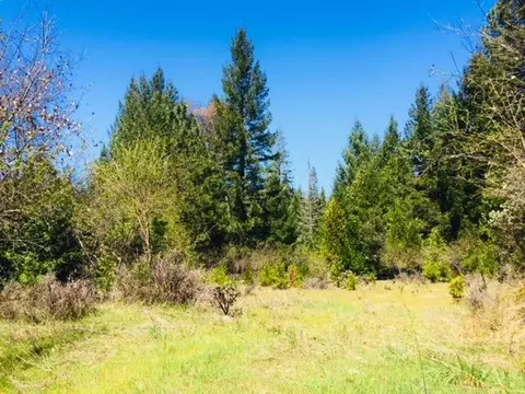 5340 String Canyon Rd, Somerset, CA 95684 photo 5