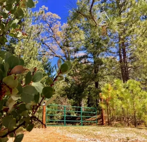 5340 String Canyon Rd, Somerset, CA 95684 photo 2