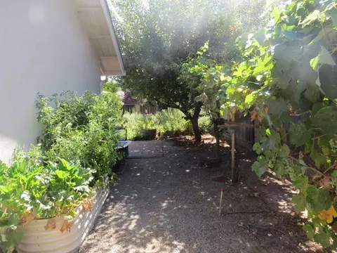 1138 Kathy Ct, Ripon, CA 95366 photo 18