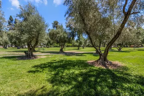 4709 Olive Oak Way, Carmichael, CA 95608 photo 55