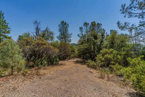 14446 Sutter Highlands Dr, Sutter Creek, CA 95685 photo 15