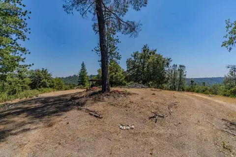 14446 Sutter Highlands Dr, Sutter Creek, CA 95685 photo 7
