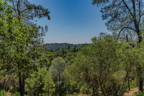 14446 Sutter Highlands Dr, Sutter Creek, CA 95685 photo 24