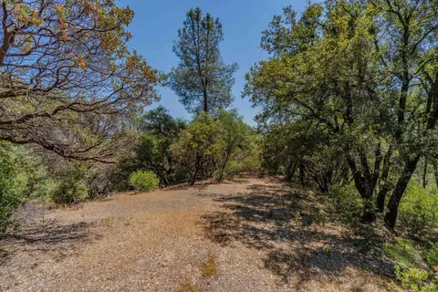 14446 Sutter Highlands Dr, Sutter Creek, CA 95685 photo 3