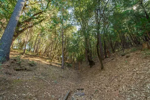 Other - 4980 Oak Hill Rd, Placerville, CA 95667 photo 14 of 14