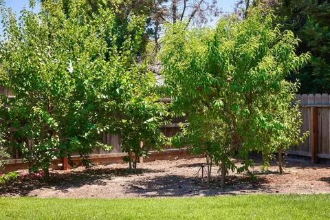 Exterior - 751 Camelia Ct, Ripon, CA 95366 photo 22 of 37