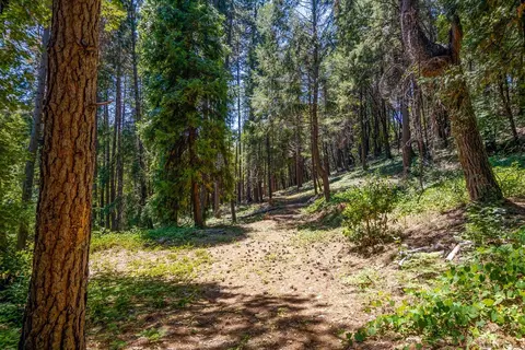 13705 Lower Colfax Rd, Grass Valley, CA 95945 photo 2