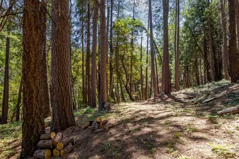 13705 Lower Colfax Rd, Grass Valley, CA 95945 photo 7