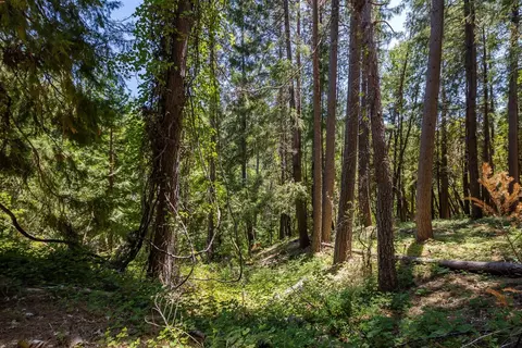 13705 Lower Colfax Rd, Grass Valley, CA 95945 photo 11