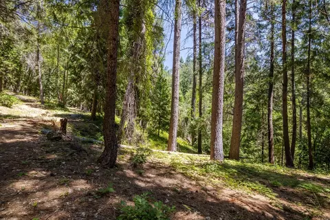 13705 Lower Colfax Rd, Grass Valley, CA 95945 photo 9
