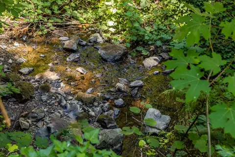 13705 Lower Colfax Rd, Grass Valley, CA 95945 photo 4