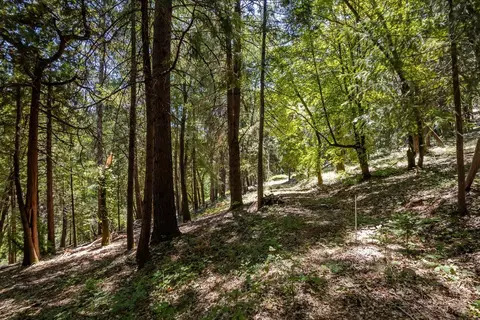 13705 Lower Colfax Rd, Grass Valley, CA 95945 photo 10