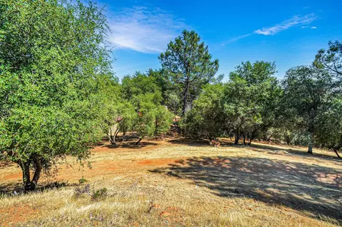 16760 Surrey Ct, Sutter Creek, CA 95685 photo 50