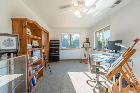 12533 Empty Diggins Ln, Rough And Ready, CA 95975 photo 31