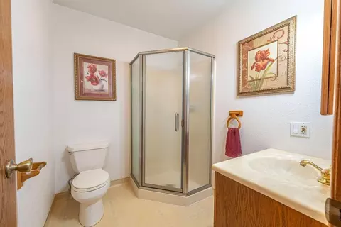 12533 Empty Diggins Ln, Rough And Ready, CA 95975 photo 29