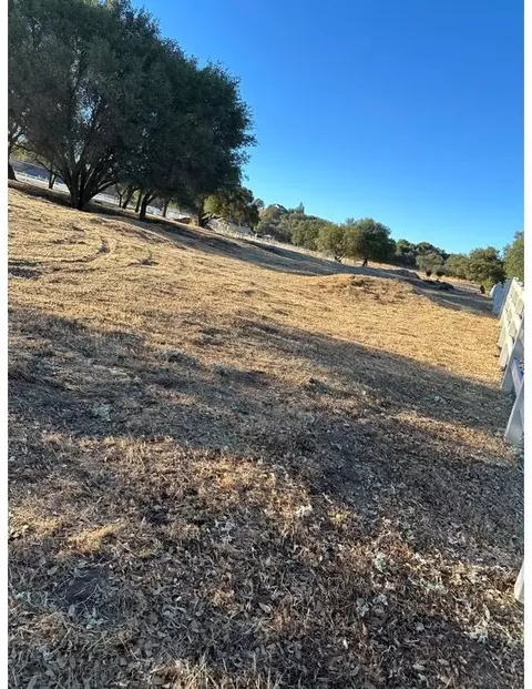 300 Sagebrush Ct, Valley Springs, CA 95252 photo 43