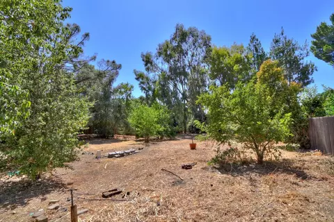 653 Fillmore St, Davis, CA 95616 photo 38