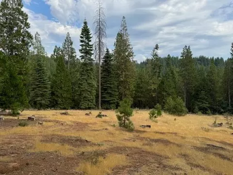 27488 Shake Ridge Rd, Volcano, CA 95689 photo 6