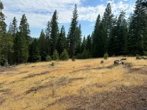 27488 Shake Ridge Rd, Volcano, CA 95689 photo 7