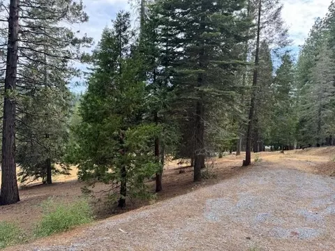 27488 Shake Ridge Rd, Volcano, CA 95689 photo 11