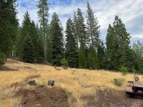27488 Shake Ridge Rd, Volcano, CA 95689 photo 4