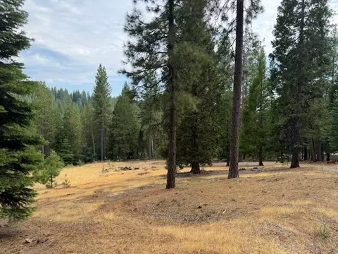 27488 Shake Ridge Rd, Volcano, CA 95689 photo 9