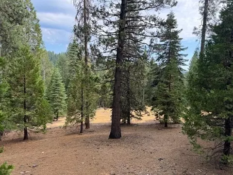 27488 Shake Ridge Rd, Volcano, CA 95689 photo 10