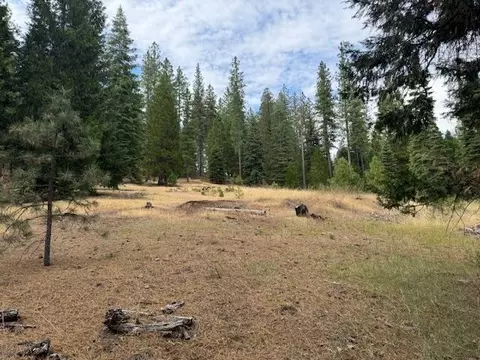 27488 Shake Ridge Rd, Volcano, CA 95689 photo 2