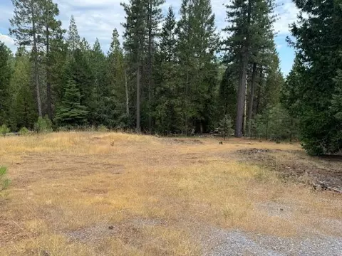 27488 Shake Ridge Rd, Volcano, CA 95689 photo 5