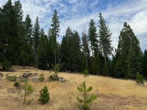 27488 Shake Ridge Rd, Volcano, CA 95689 photo 3