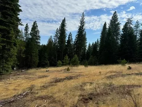 27488 Shake Ridge Rd, Volcano, CA 95689 photo 8