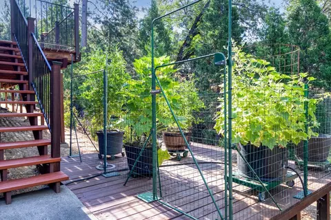 7040 Sly Park Rd, Placerville, CA 95667 photo 32
