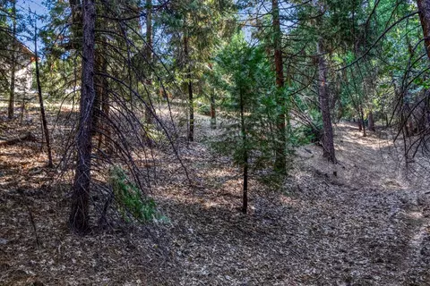 7040 Sly Park Rd, Placerville, CA 95667 photo 39