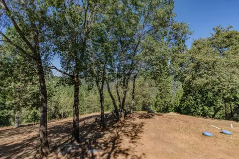 180 Iris Way, West Point, CA 95255 photo 42