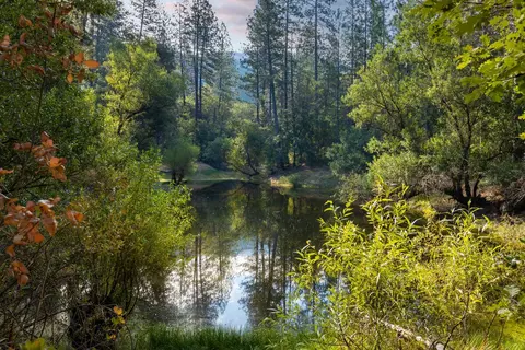 22101 Rooster Hill Rd, Nevada City, CA 95959