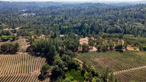 1250 Sandra Cir, Placerville, CA 95667 photo 64