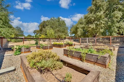 Exterior - 4520 Live Oak St, Carmichael, CA 95608 photo 14 of 21