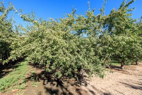 5201 N Tully Rd, Turlock, CA 95382 photo 11