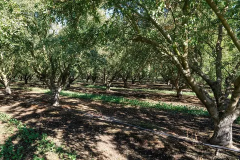 5201 N Tully Rd, Turlock, CA 95382 photo 14