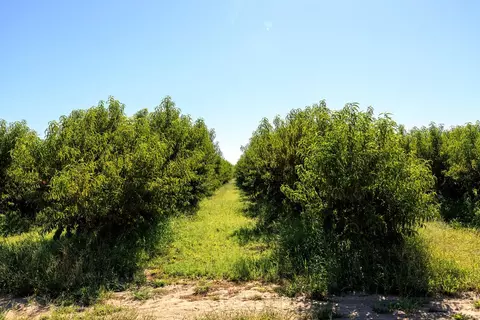 5201 N Tully Rd, Turlock, CA 95382 photo 5